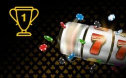 petpawer VIP Bonus နှင့် ကစားသမားအကျိုးခံစားခွင့်များ